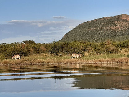  Loskop Dam Koppie