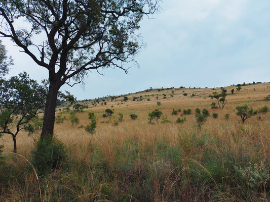  Loskop Dam Nature Reserve