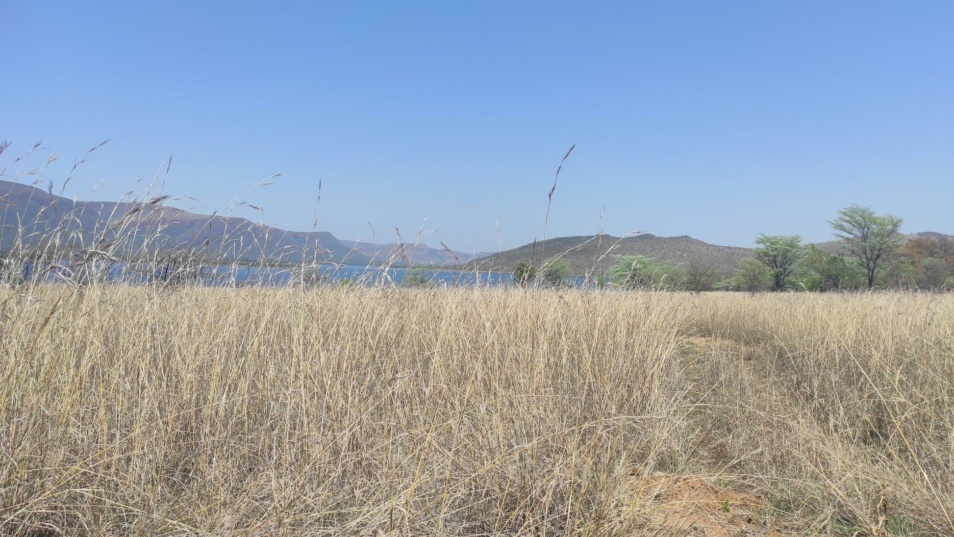  Loskop Dam Nature Reserve