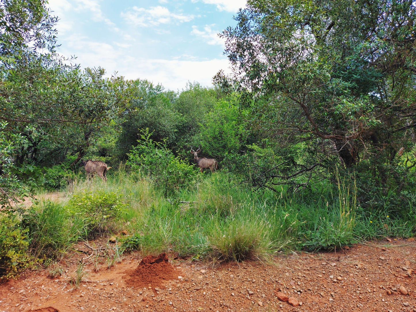  Loskop Dam Nature Reserve