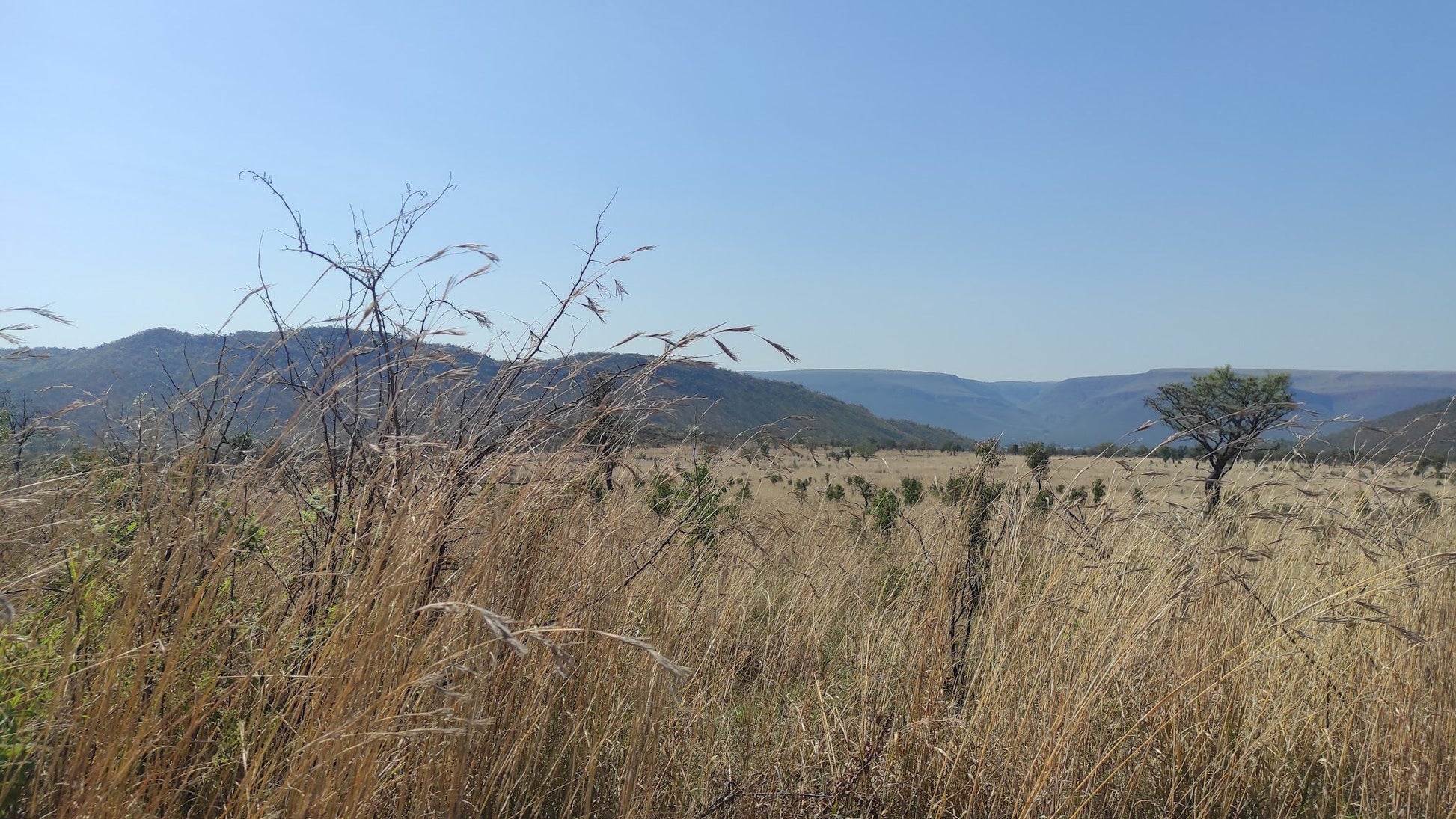  Loskop Dam Nature Reserve