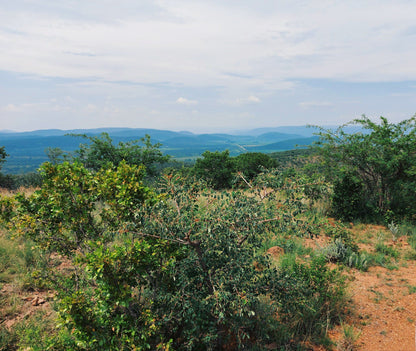  Loskop Dam Nature Reserve