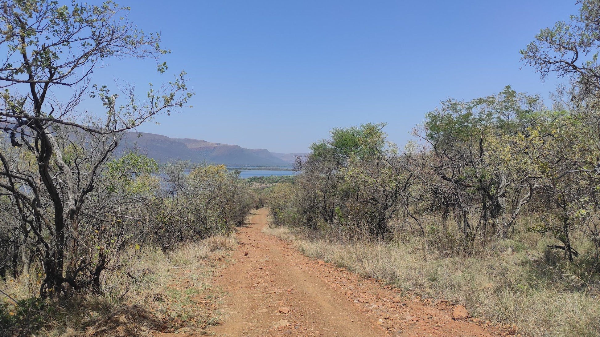  Loskop Dam Nature Reserve