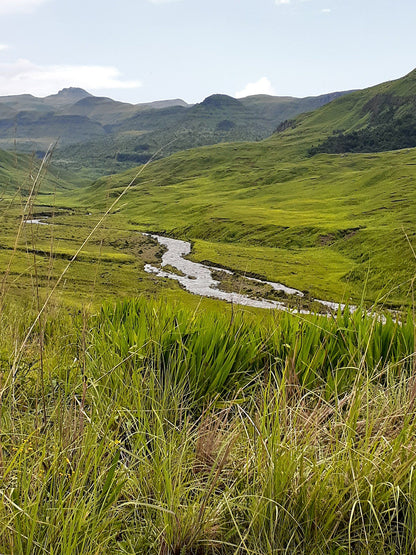  Lotheni Nature Reserve