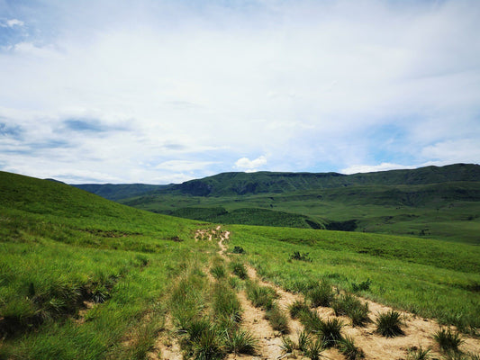  Lotheni Nature Reserve