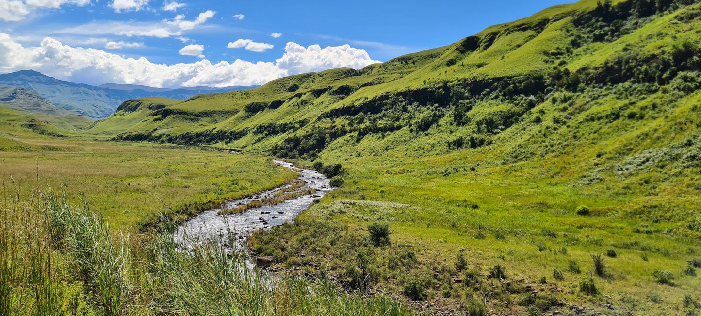  Lotheni Nature Reserve