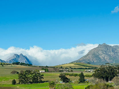  Louisvale Wines