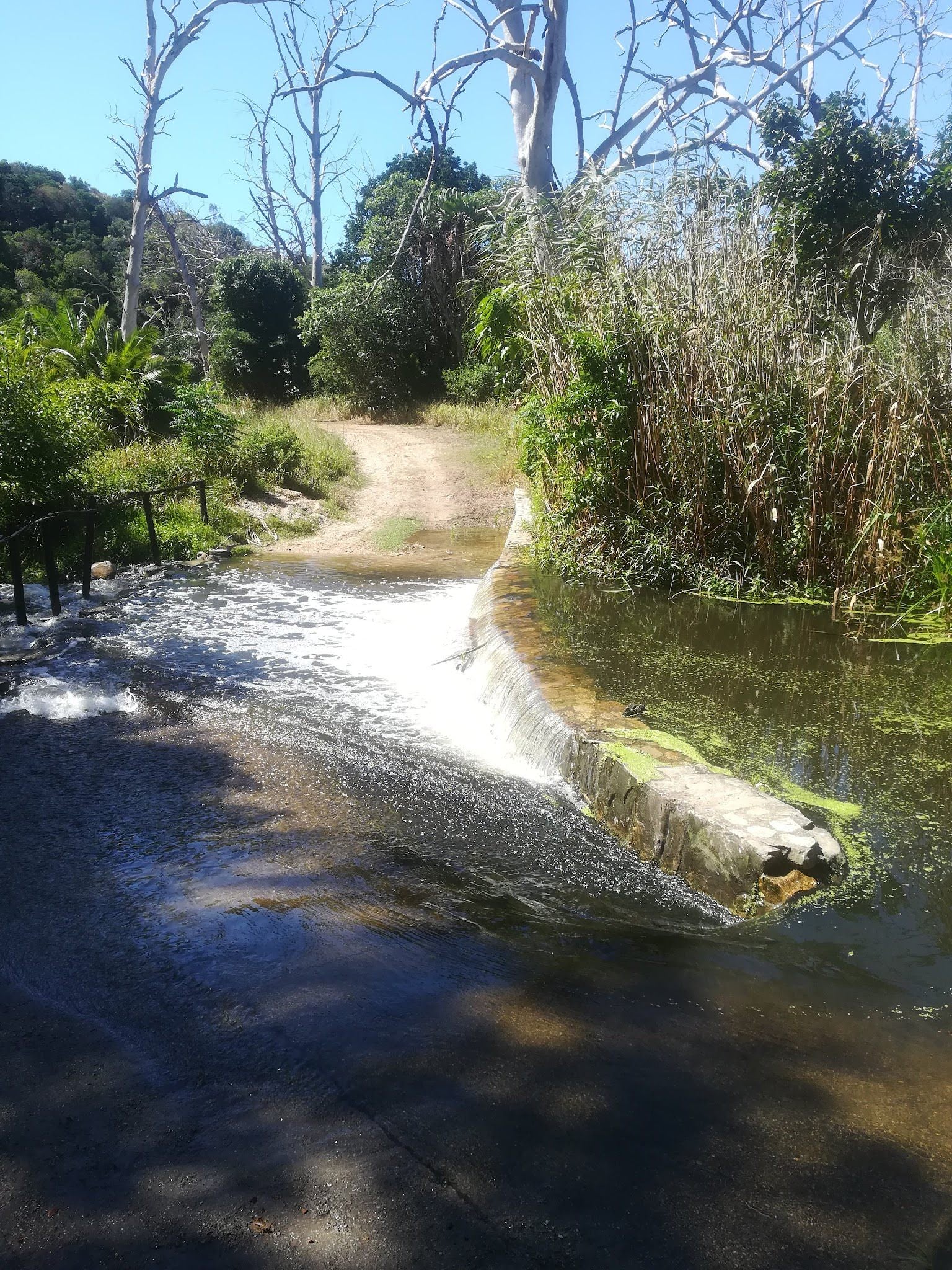  Lower Guinea-Fowl Trail