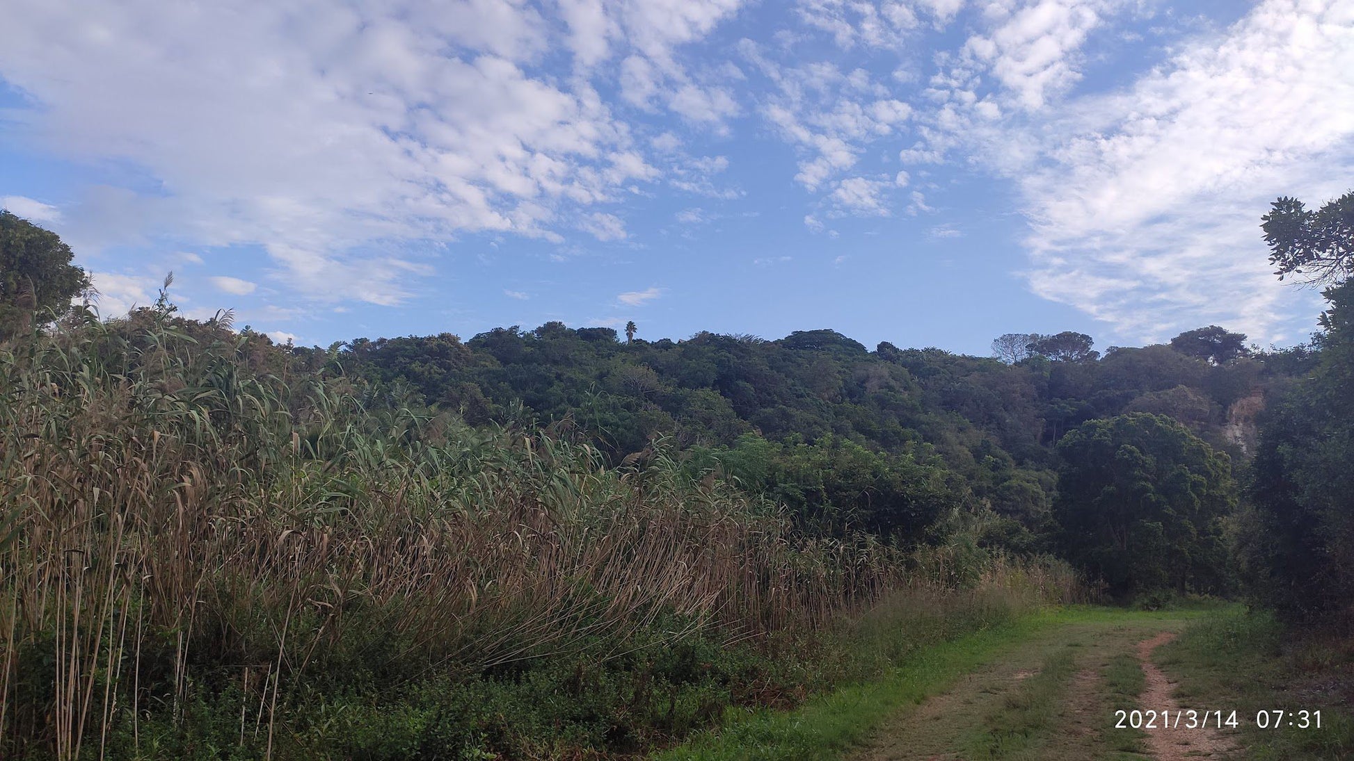  Lower Guinea-Fowl Trail