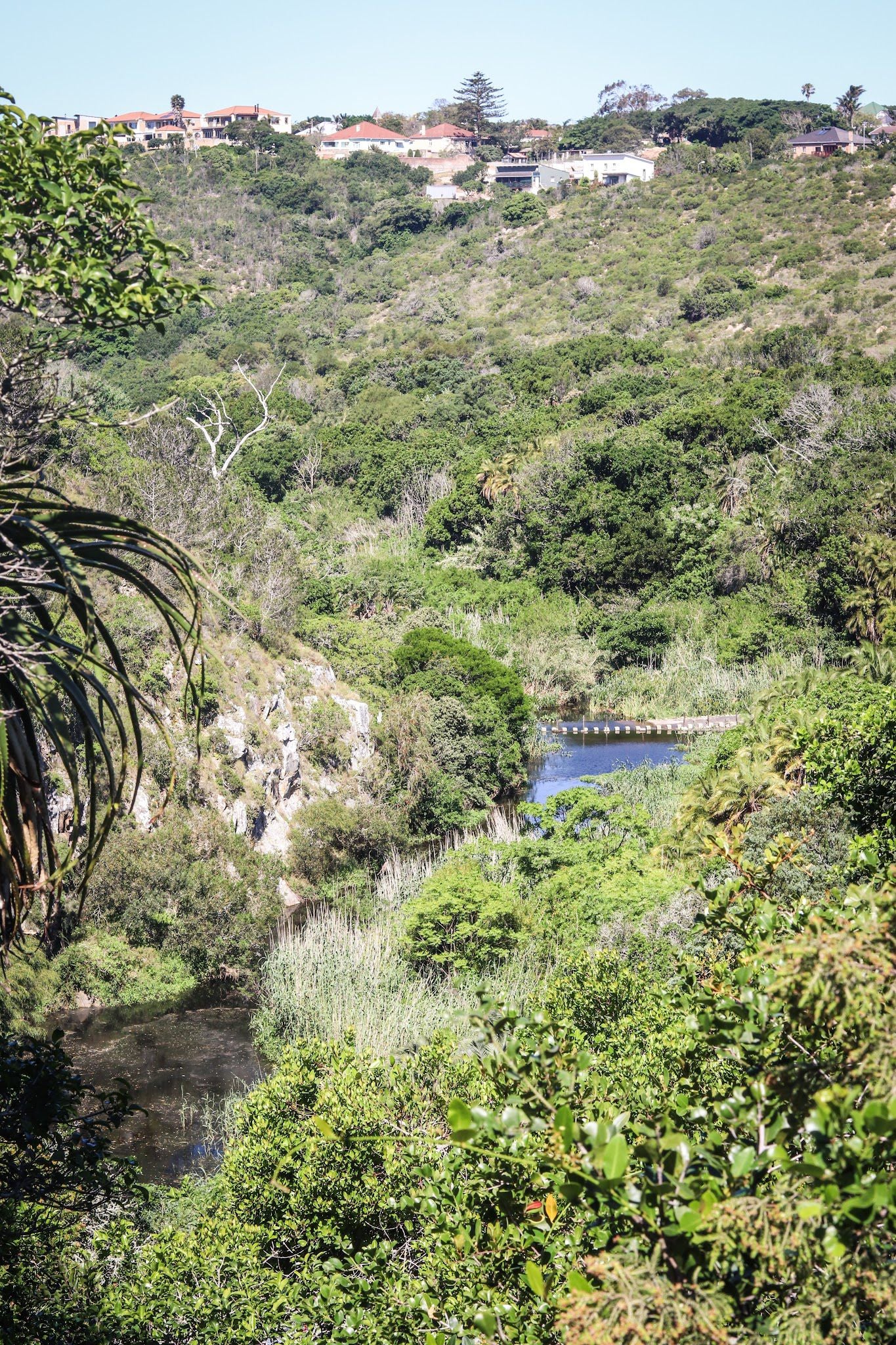  Lower Guinea-Fowl Trail