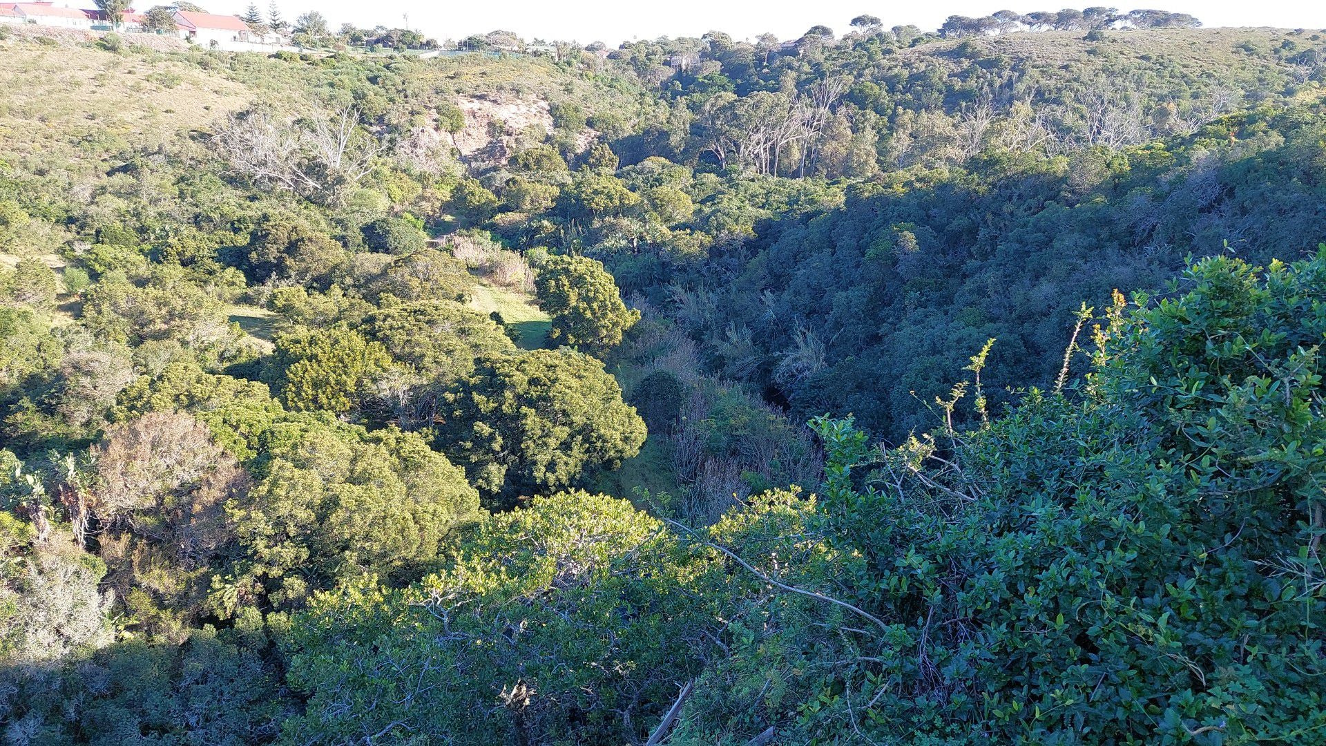  Lower Guinea-Fowl Trail