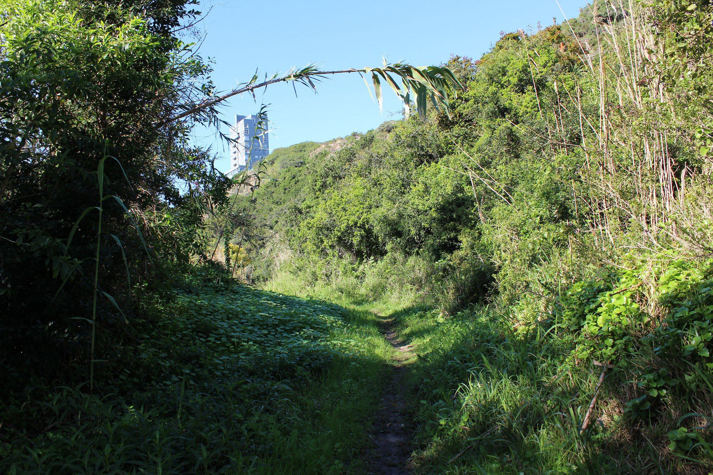  Lower Guinea-Fowl Trail