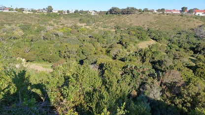  Lower Guinea-Fowl Trail