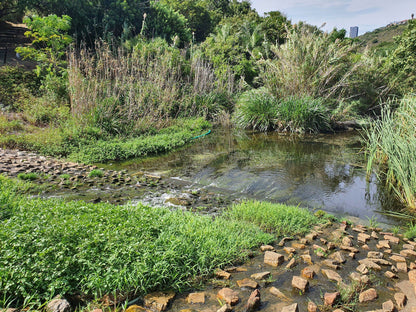  Lower Guinea-Fowl Trail