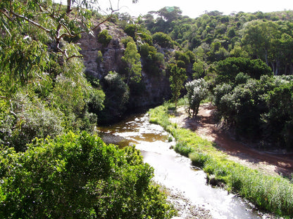  Lower Guinea-Fowl Trail