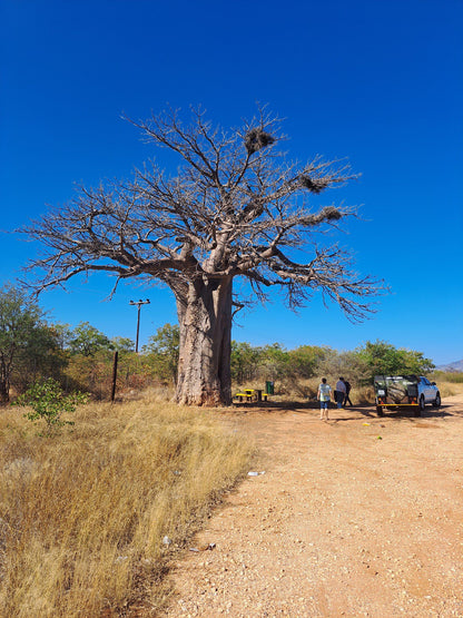  Lowveld View