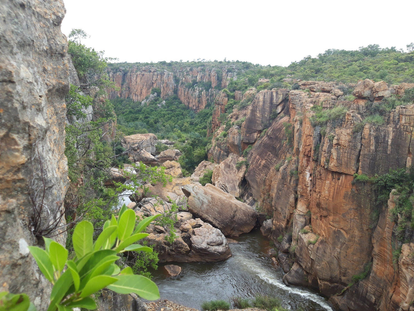  Lowveld View