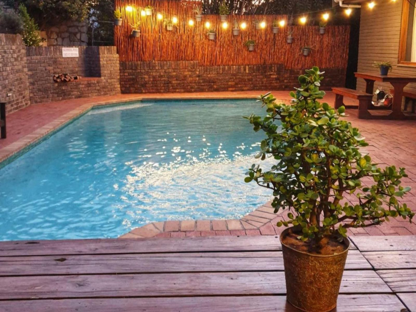 Lungile Backpackers Humewood Port Elizabeth Eastern Cape South Africa Garden, Nature, Plant, Swimming Pool