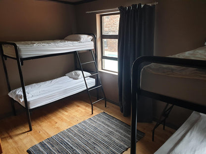 4 Bed Male Dormitory - En suite @ Lungile Backpackers