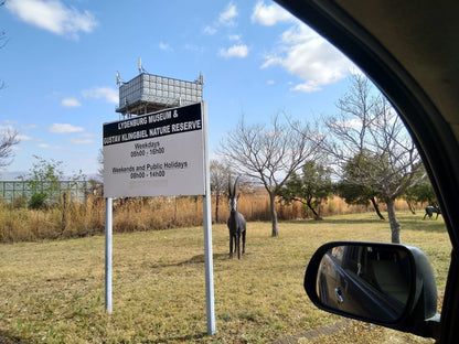  Lydenburg Museum