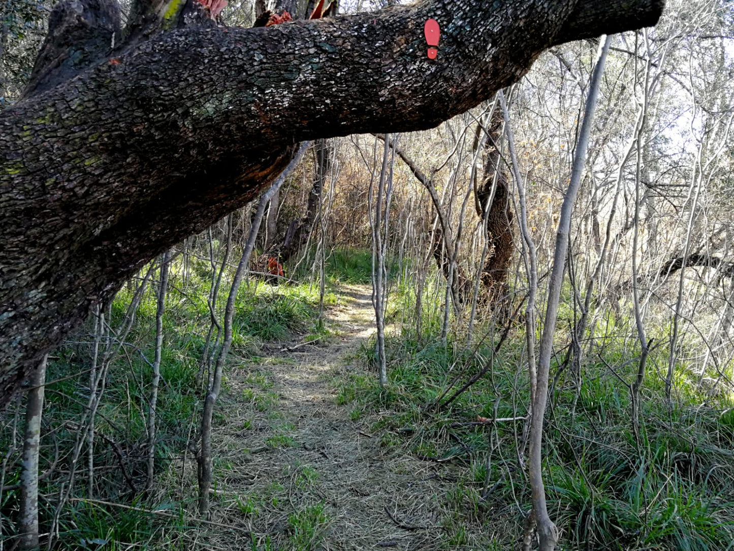 Made on Earth Hiking Trails