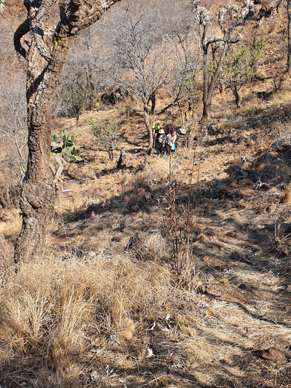 Made on Earth Hiking Trails