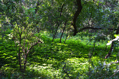 Made on Earth Hiking Trails