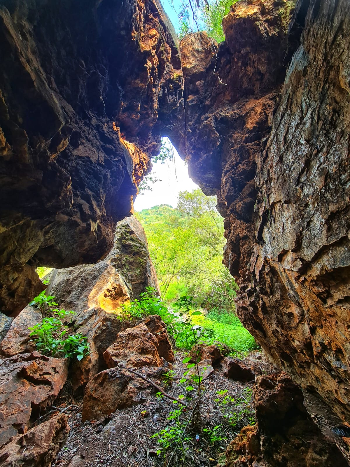 Made on Earth Hiking Trails