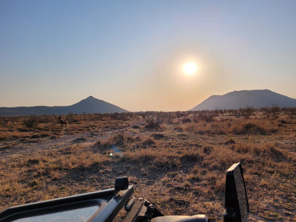  Madikwe Game Reserve