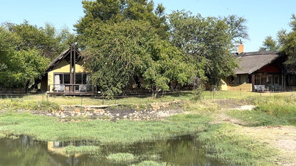  Madikwe Game Reserve