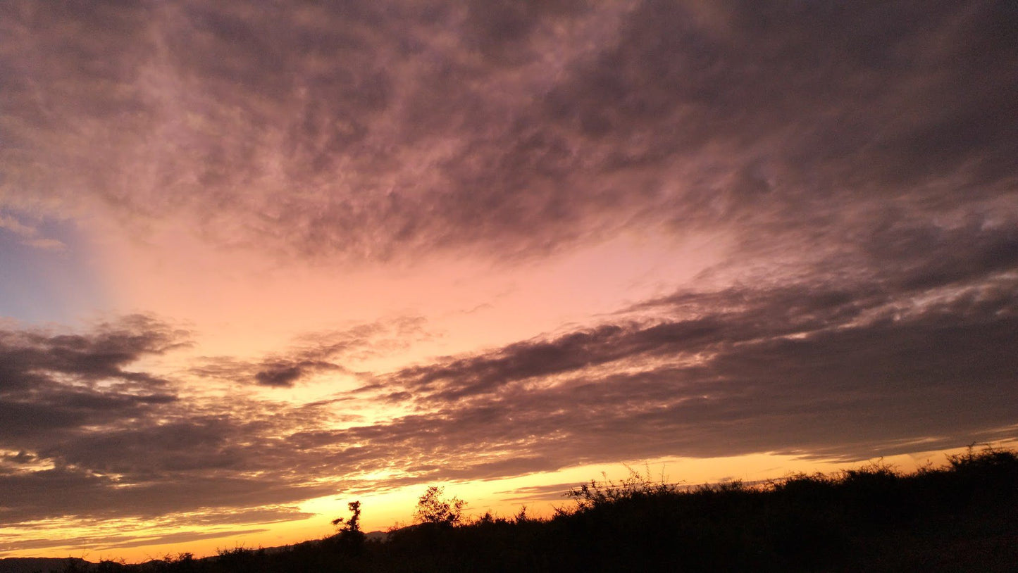  Madikwe Game Reserve