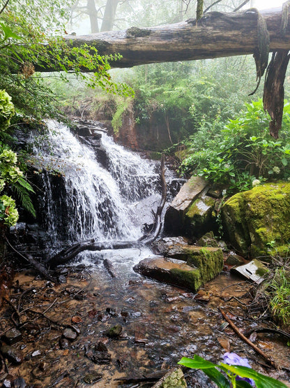  Madonna & Child Waterfalls