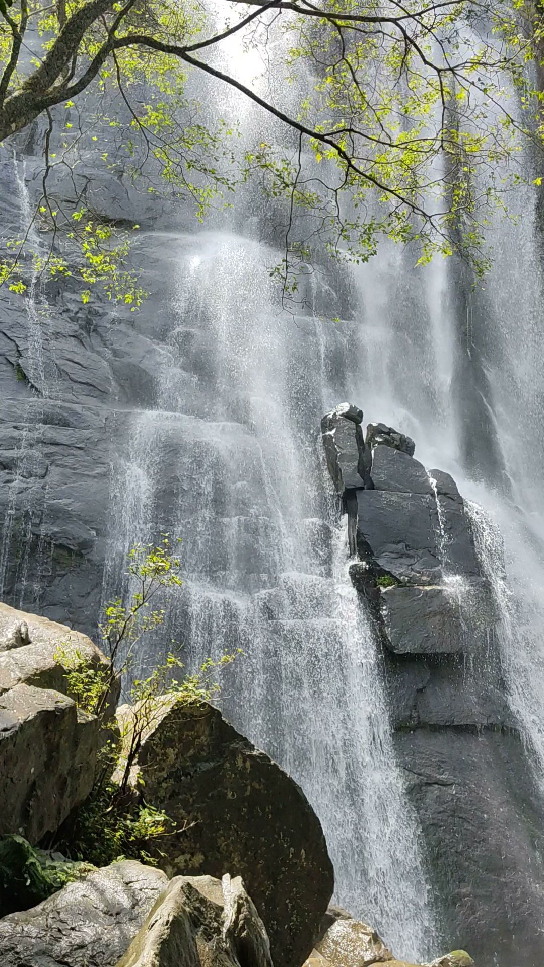  Madonna & Child Waterfalls