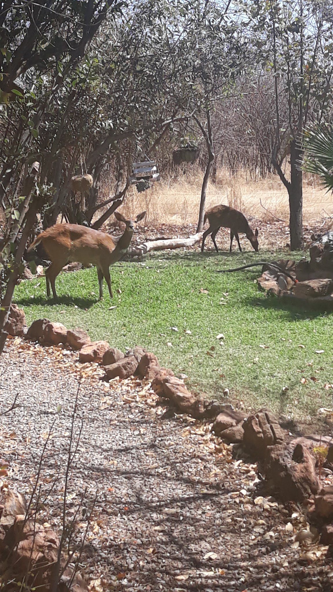  Mafikeng Game Reserve