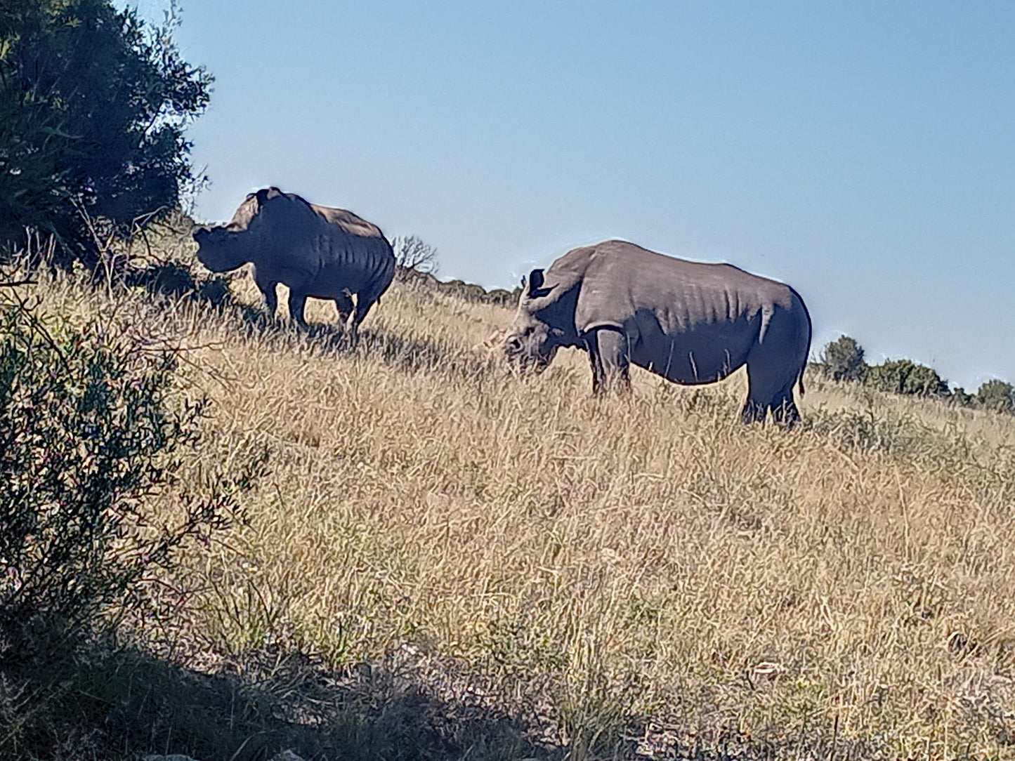  Mafikeng Game Reserve