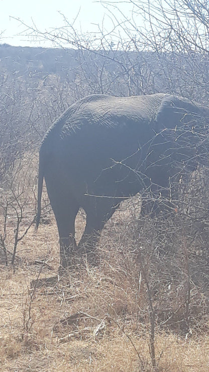  Mafikeng Game Reserve