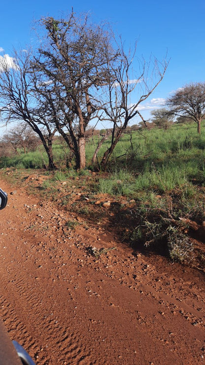  Mafikeng Game Reserve