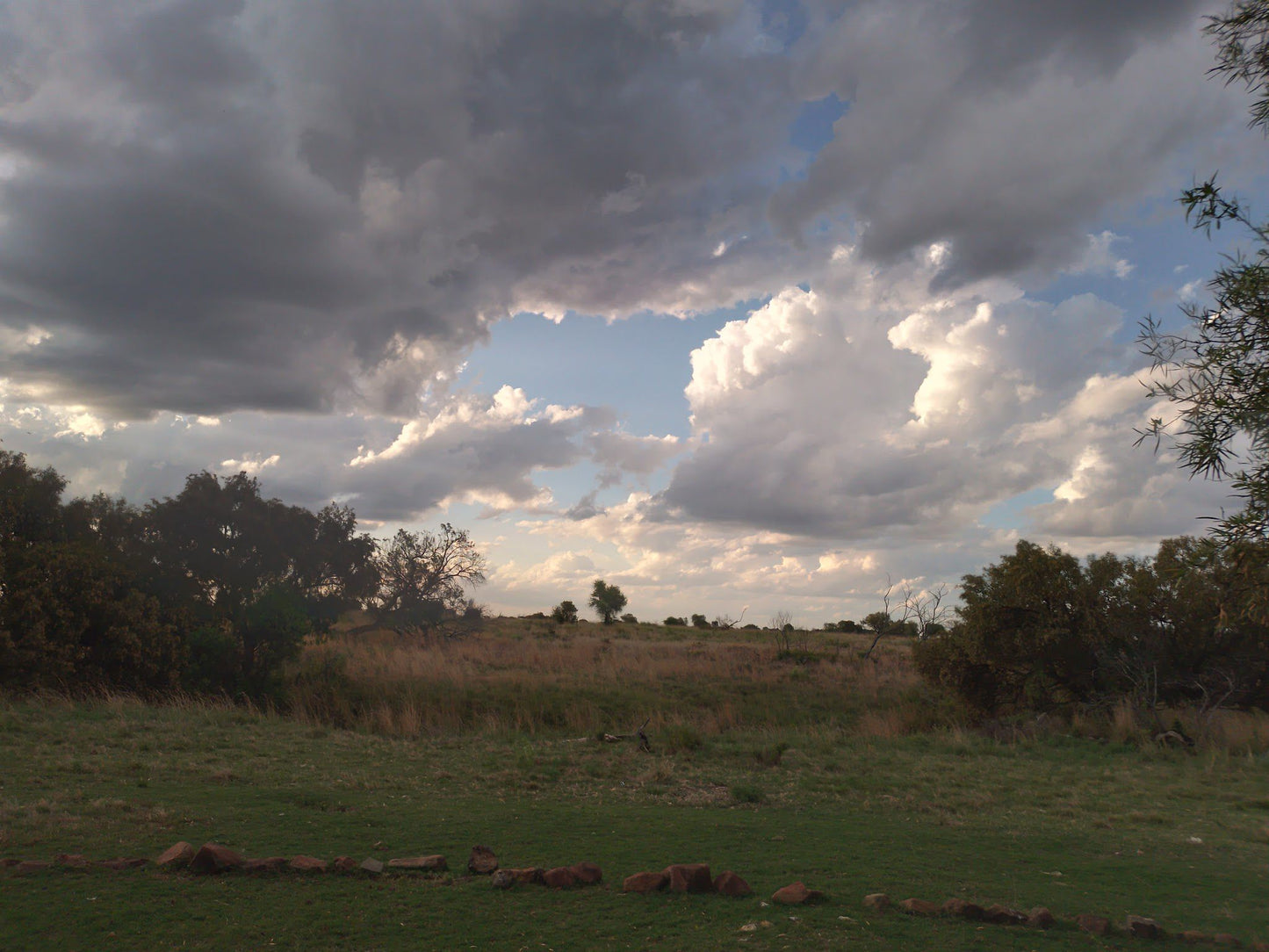  Mafikeng Game Reserve