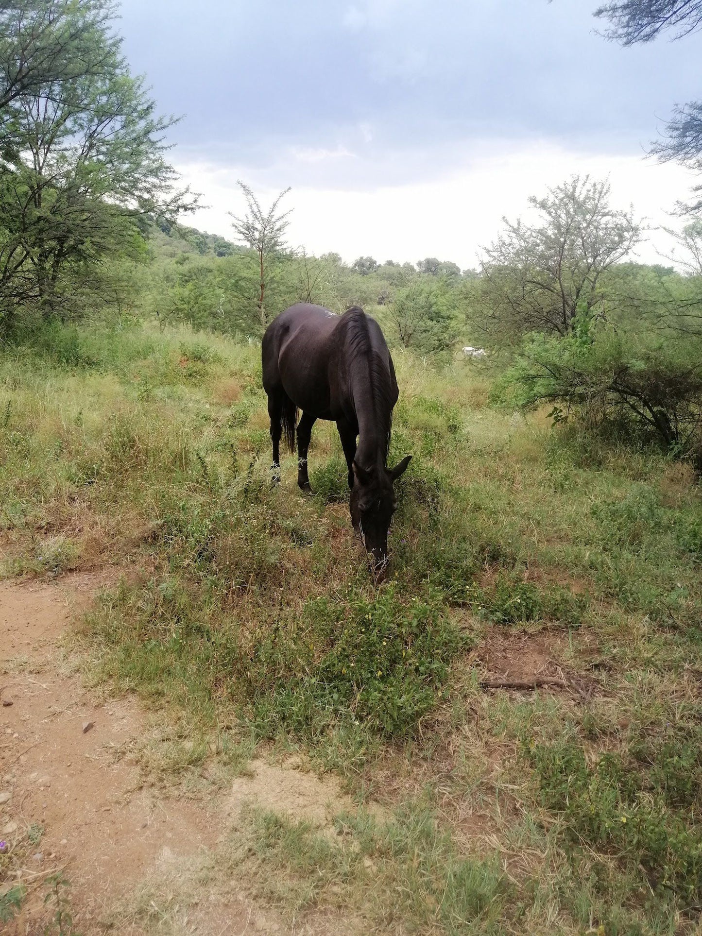 Magalies MTB & Hiking Trail