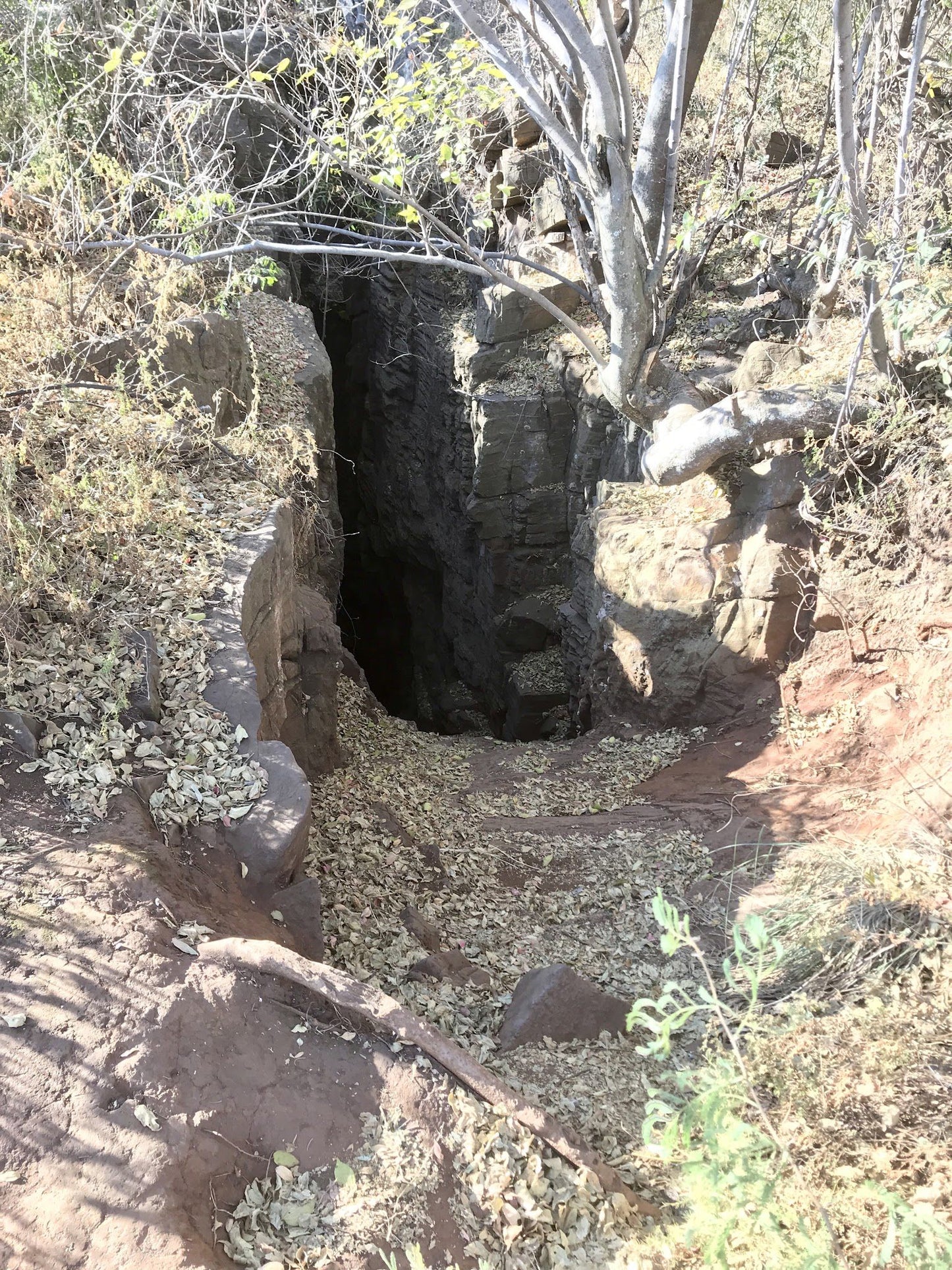 Magaliesberg