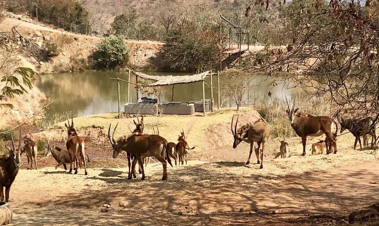 Magaliesberg