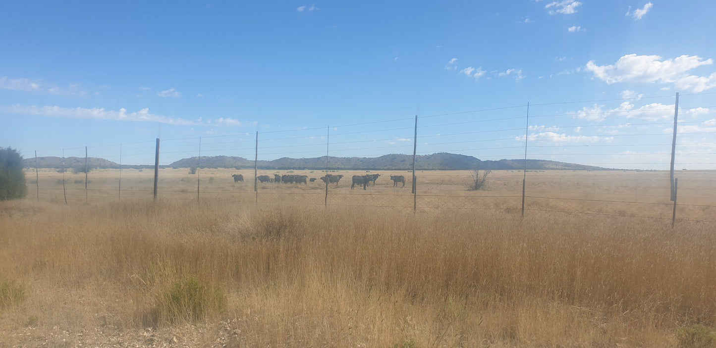  Magersfontein Memorial