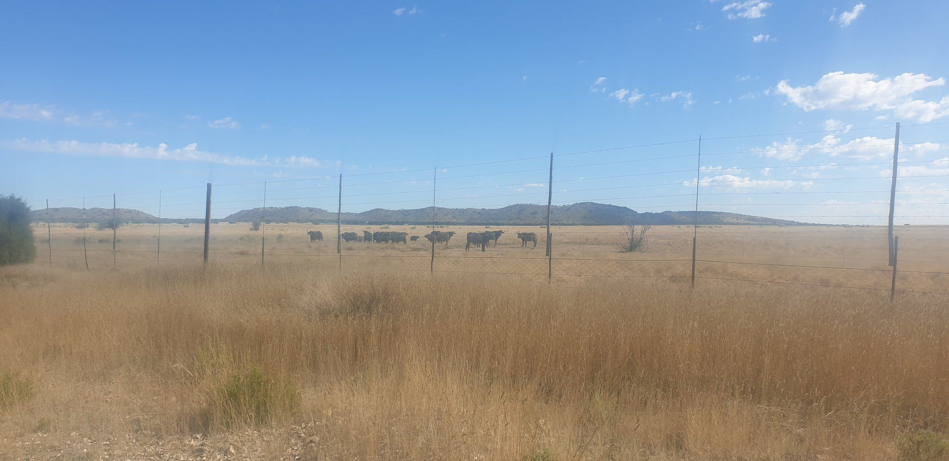  Magersfontein Memorial