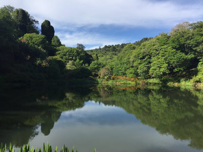 Magoebaskloof Getaway Haenertsburg Limpopo Province South Africa Complementary Colors, River, Nature, Waters, Tree, Plant, Wood, Highland