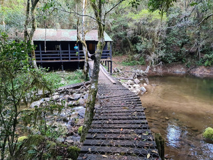 Magoebaskloof Getaway Haenertsburg Limpopo Province South Africa Bridge, Architecture, Forest, Nature, Plant, Tree, Wood, River, Waters, Waterfall