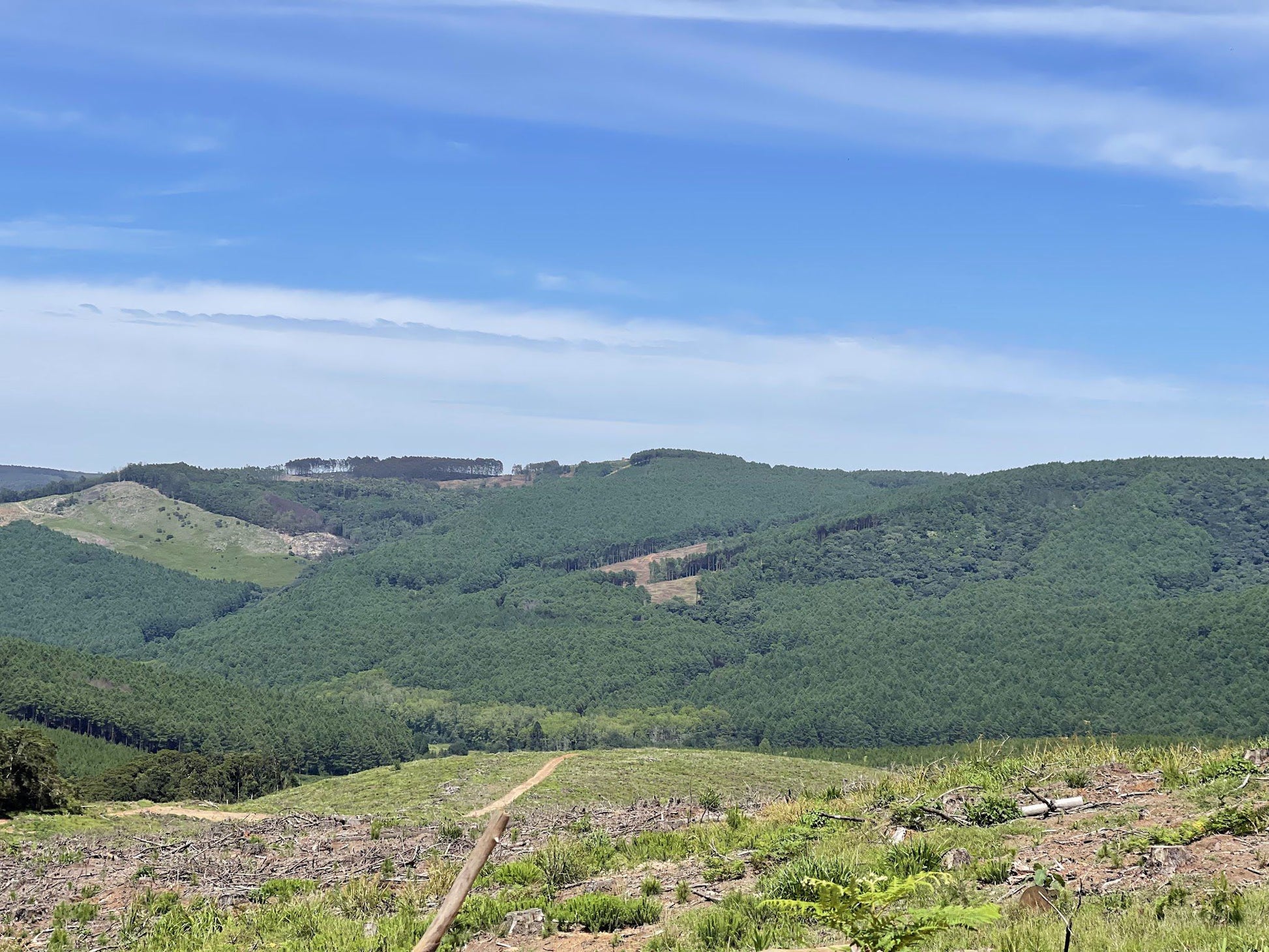 Magoebaskloof Getaway Haenertsburg Limpopo Province South Africa Highland, Nature