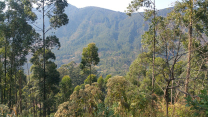 Magoebaskloof