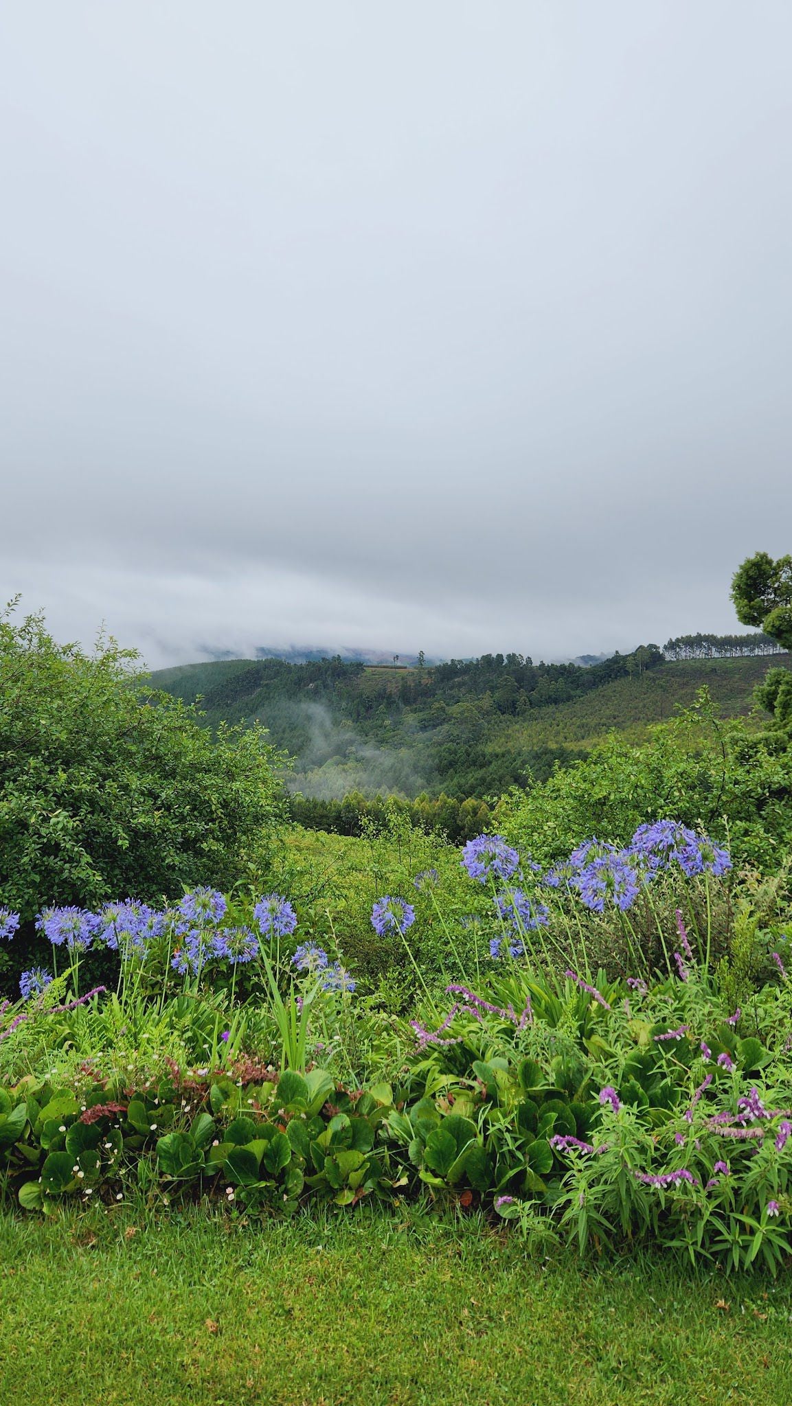 Magoebaskloof