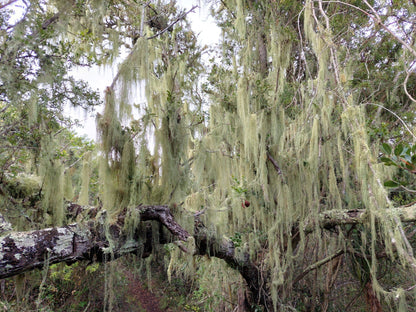  Maitlands Nature Reserve