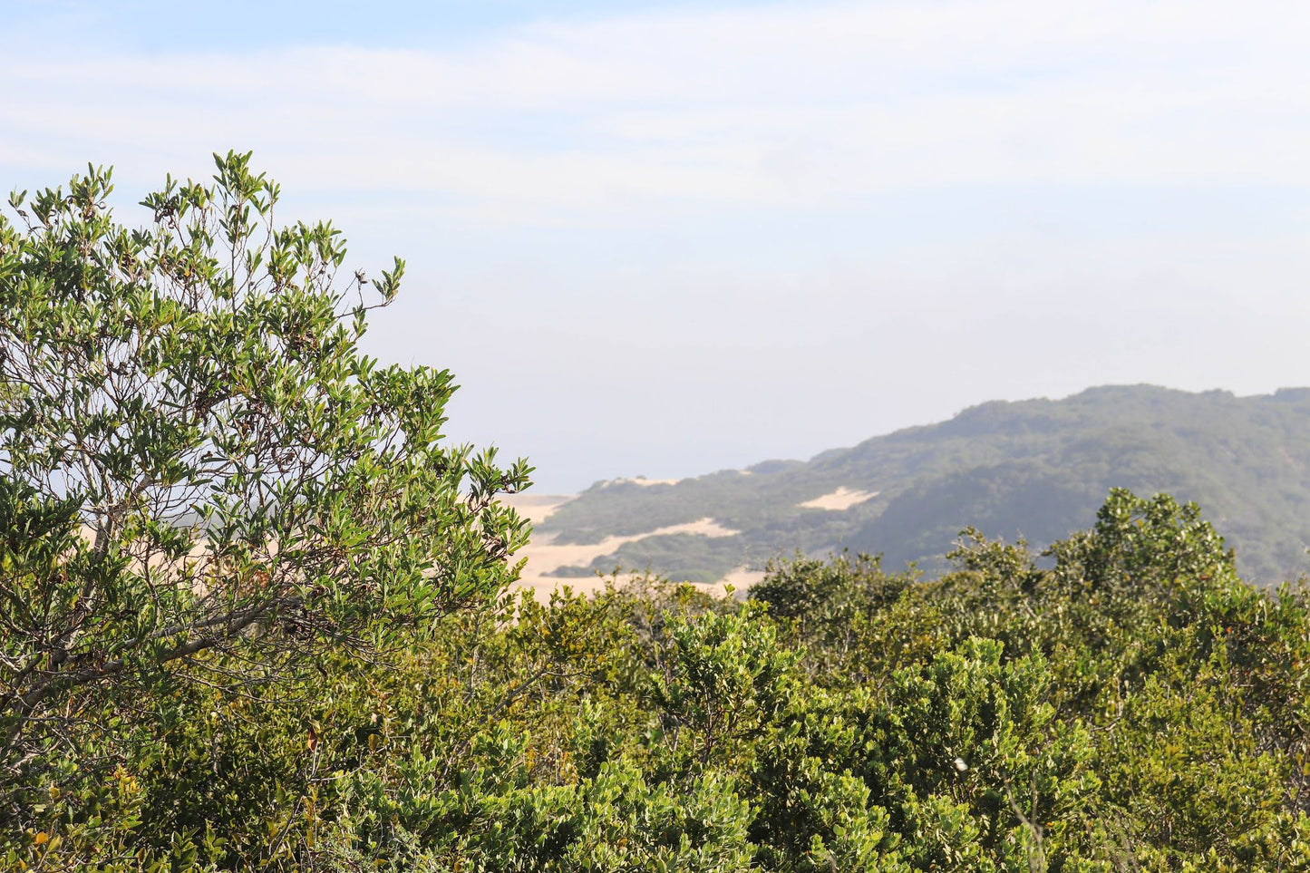  Maitlands Nature Reserve